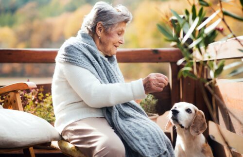 Is Codependency a Factor in Your Parent’s Senior Care