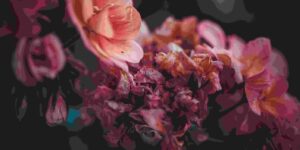 The Role of Discernment Counseling In Divorce 1