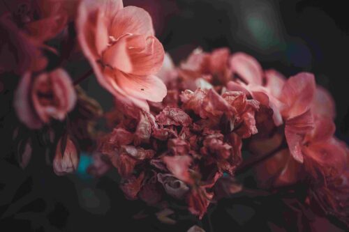 The Role of Discernment Counseling In Divorce