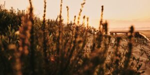 Toxic Friendship: When Loyalty Becomes a Burden 1