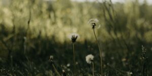 Thinking of Becoming Adoptive Parents? What You Should Know About Adoption Grief 1