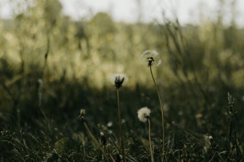 Thinking of Becoming Adoptive Parents? What You Should Know About Adoption Grief